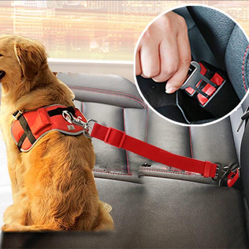 PawGrip™ Car Safety Leash