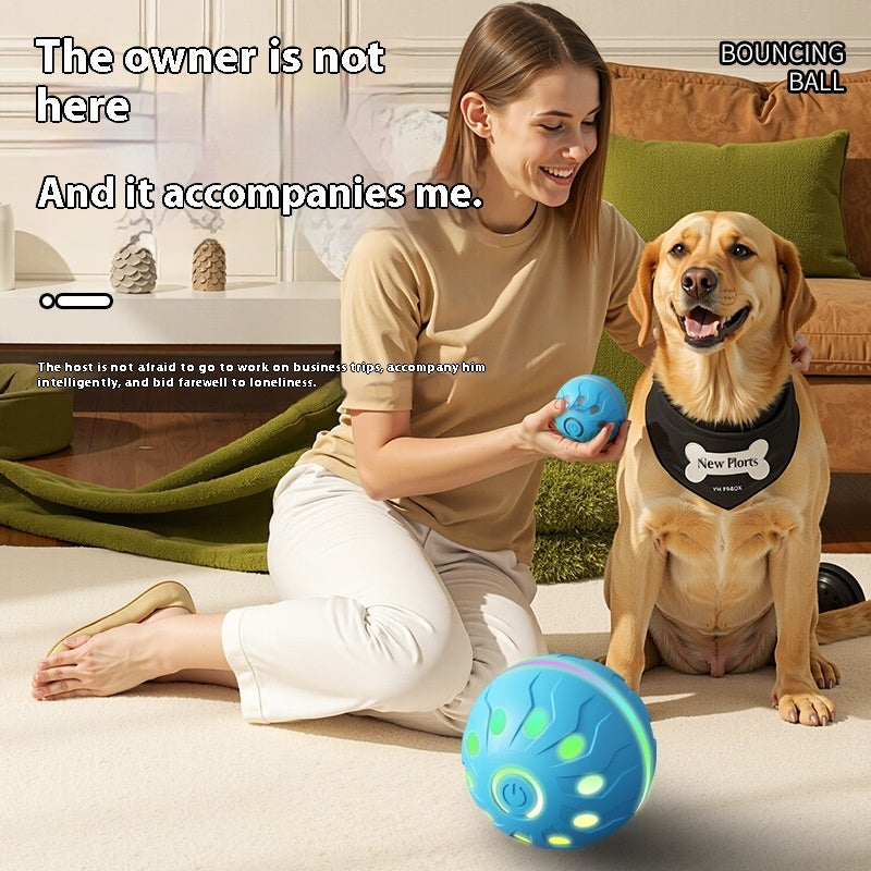 WoofMotion™ Ball