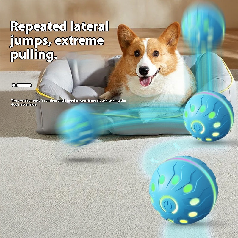 WoofMotion™ Ball